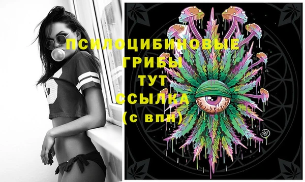 гидропоника Алзамай