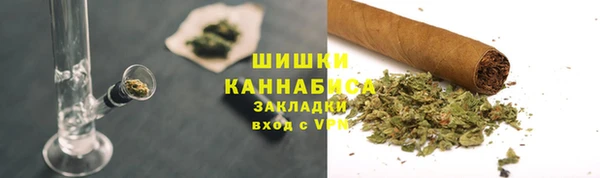 гидропоника Алзамай